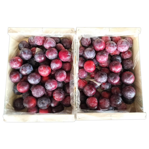 Fresh Plum - Whole Organic Fruit | Natural Shape & Size, Fresh Variety, Available in Required Weight (kg)