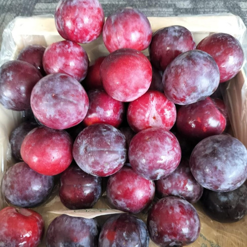 Fresh Plum - Whole Organic Fruit | Natural Shape & Size, Fresh Variety, Available In Required Weight (Kg)
