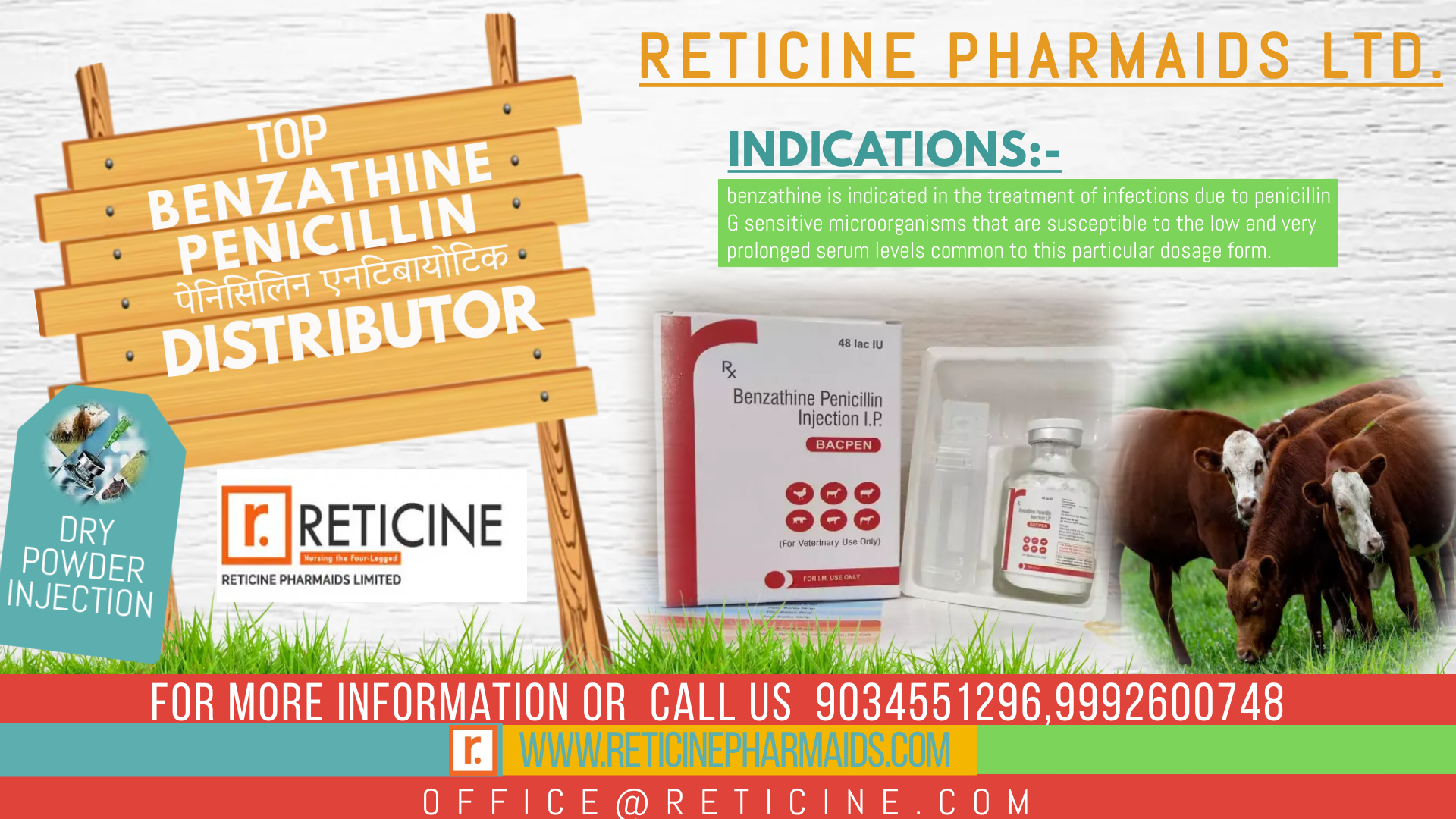 Veterinary Injection Manufacturer - Dry Powder Injectable Formulations Featuring Meloxicam, Nimesulide, Oxytetracycline, Gentamicin | Allopathic, Veterinary Use