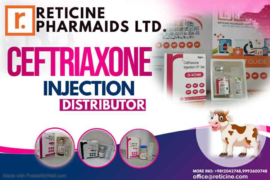 Veterinary Injection Manufacturer - Dry Powder Injectable Formulations Featuring Meloxicam, Nimesulide, Oxytetracycline, Gentamicin | Allopathic, Veterinary Use
