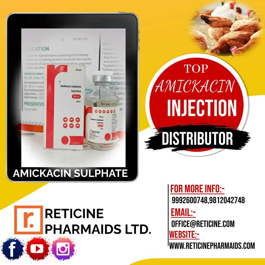 Veterinary Injection Manufacturer - Dry Powder Injectable Formulations Featuring Meloxicam, Nimesulide, Oxytetracycline, Gentamicin | Allopathic, Veterinary Use