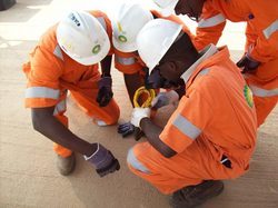 Manpower & Labor Export Services