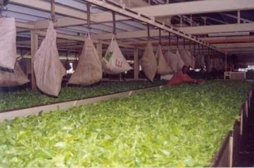 ओवरहेड चेन कन्वेयर - होल्ट्ज़मैन सिस्टम्स ल्टड.