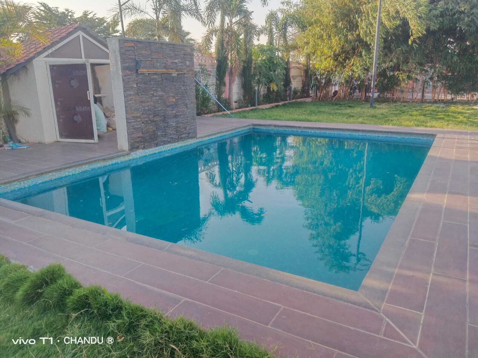 Swimming Pool Contractor