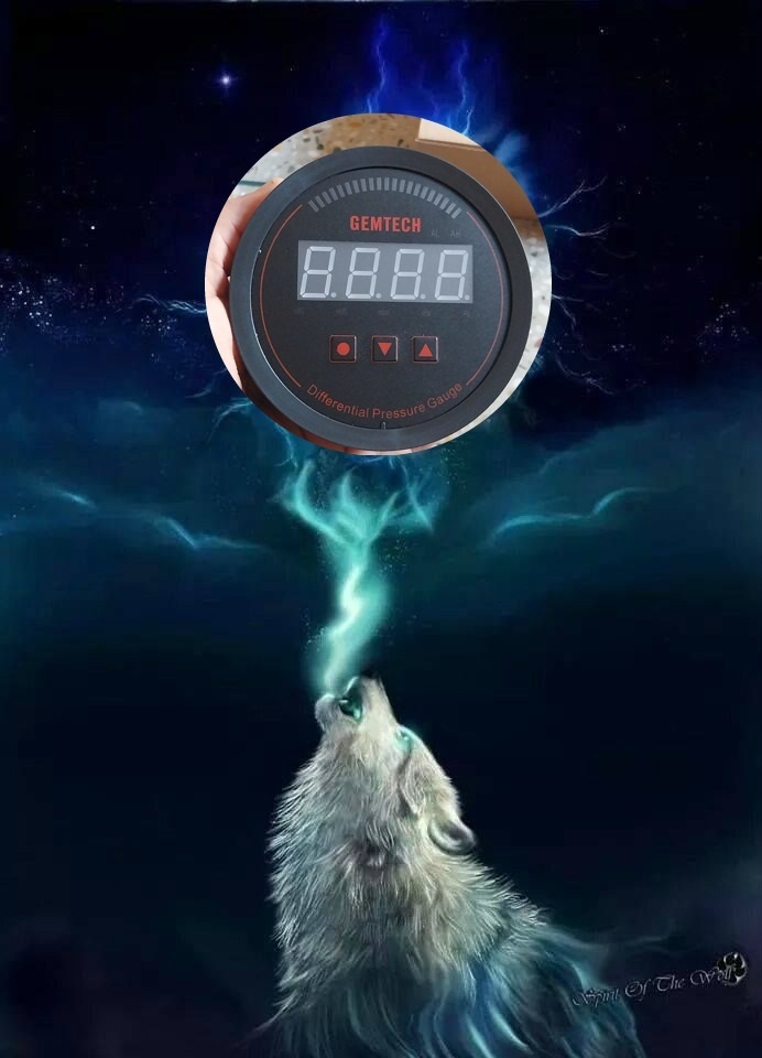 Gemtech Series 3000 Digital Pressure Gauge Range 0 To 125 Pac - Color: Black