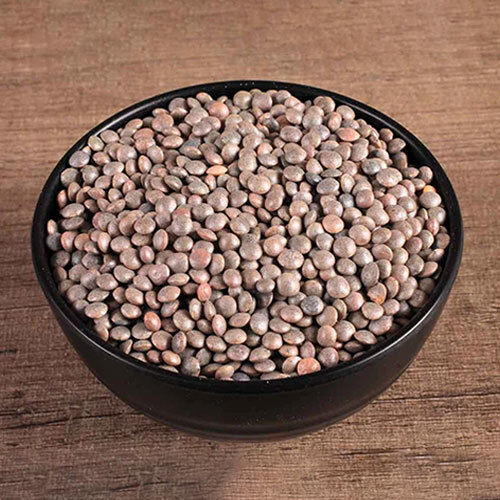 सामान्य मसूर दाल