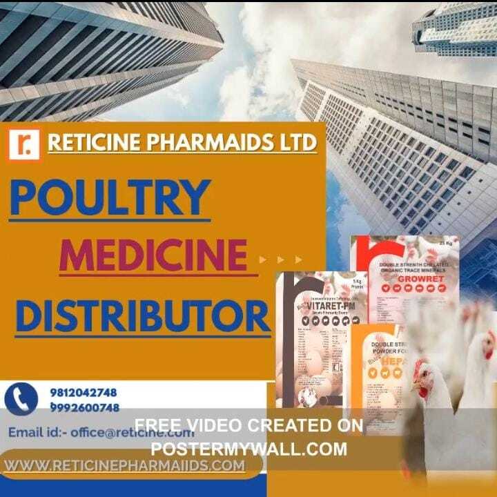 Veterinary Feed Supplement Manufacturer In Maharashtra