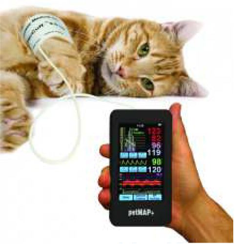 Veterinary Bp Petmap - Attributes: Easy To Operate