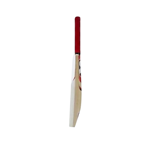 Sg Catch Cricket Bats Gender: Unisex