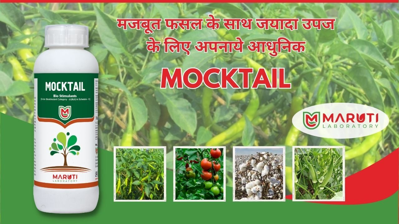 Mocktail Bio Stimulant - Physical State: Liquid