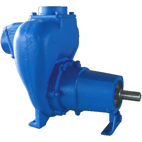 Blue Sfp Series Frame Mounted Pumps