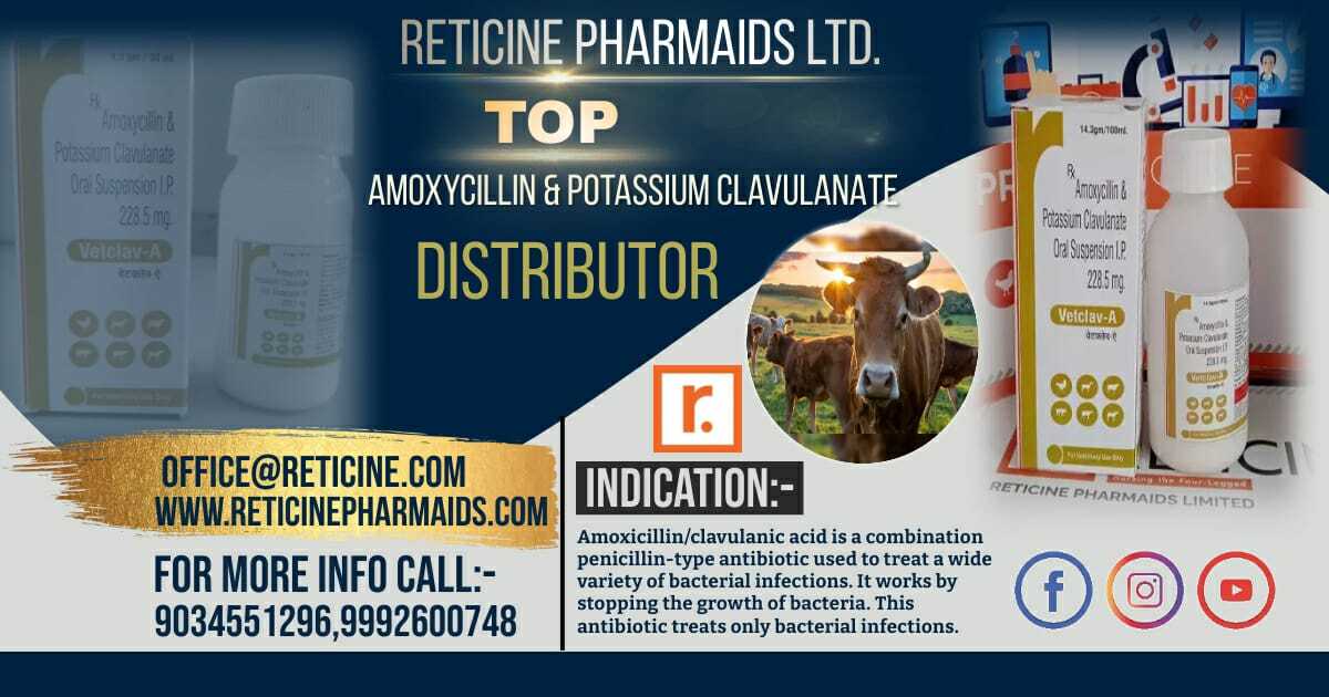 Veterinary Liquid Oral Manufacturer In Rajasthan