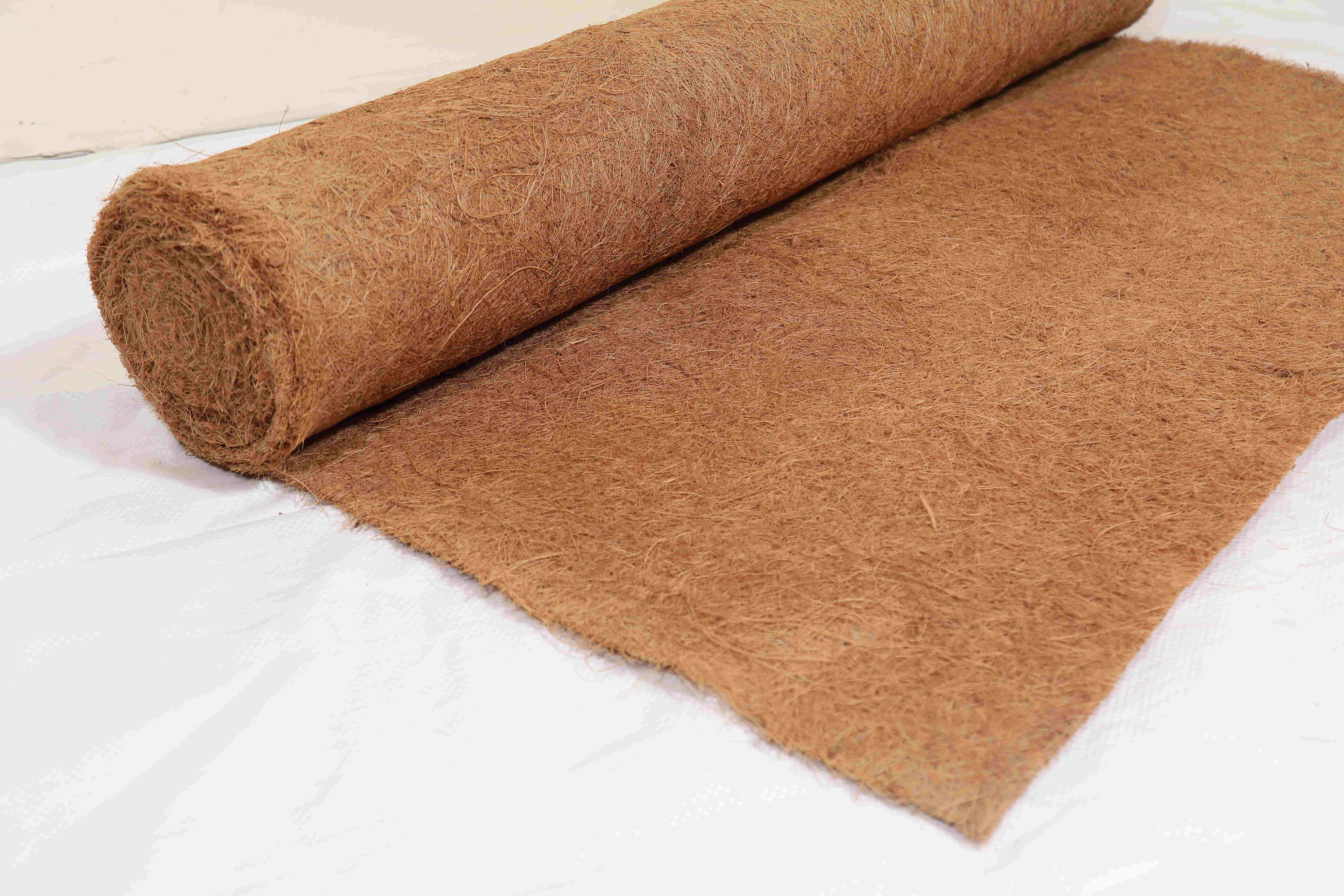 Non Woven Coir Geo Textiles Back Material: Latex Bottom