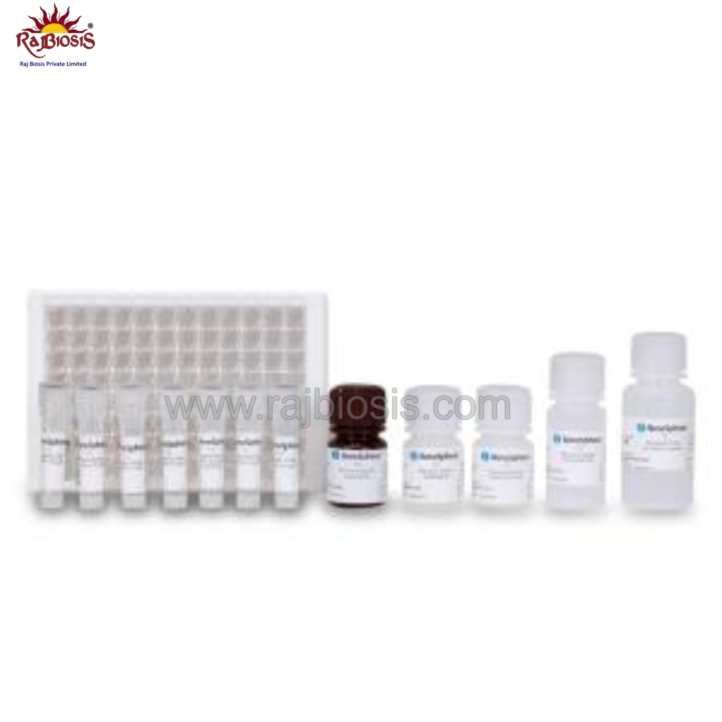 Benesphera T4 Elisa Kit