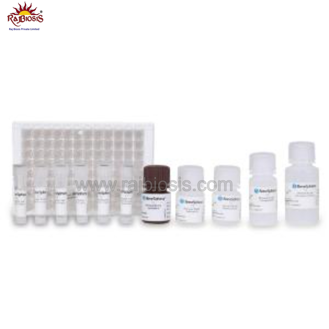 Benesphera T3 Elisa Kit