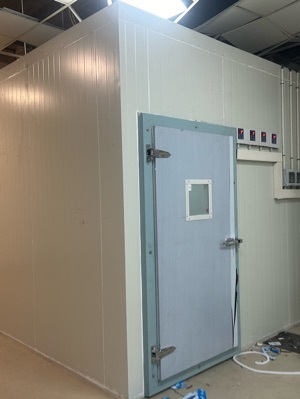 Industrial Cold Storage Room - High-Quality Metal, 10x10x8 Feet | Efficient Cooling at +2 to +8 Degrees, Customizable Size for Medicine Storage
