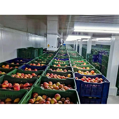 Apple Ripening Climate-controlled Chamber By Icetech Engineers