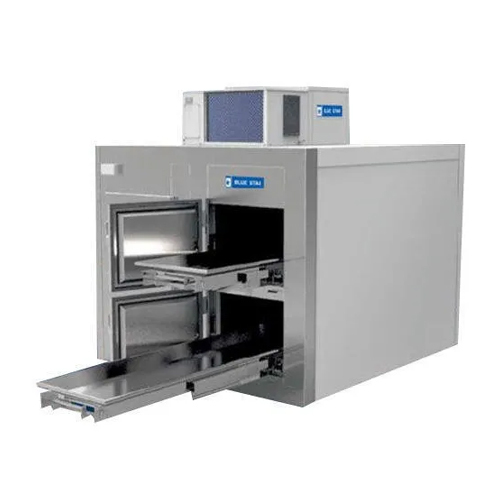 Cold Storage Mortuary Cabinet - Stainless Steel & Steel, Standard Size with Elegant Indian-Style Design, Foldable for Convenient Storage