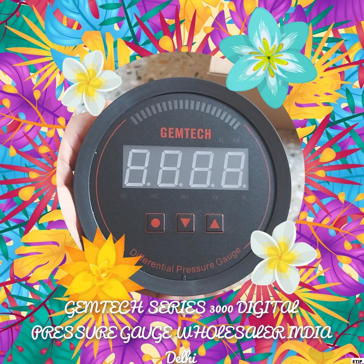 Gemtech Series 3000 Digital Pressure Gauge With Alarm Range 0 To 12.00 Inch W.c