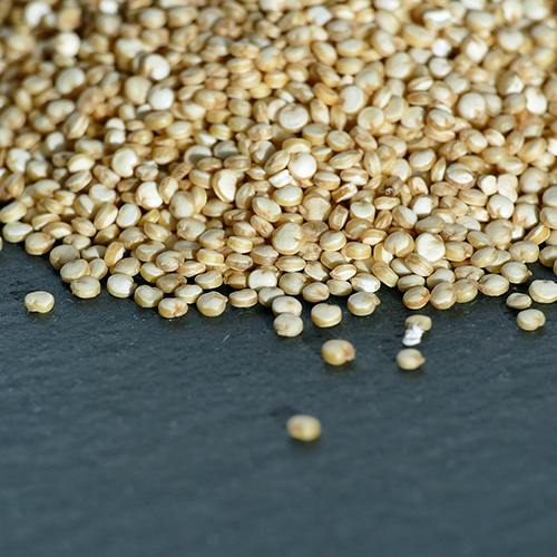 Pearl Millets - High Purity, Customized Size | Nutrient-Rich Superfood, Gluten-Free, Low Glycemic Index, Smooth Texture