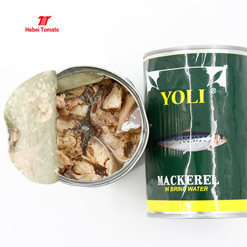 Canned Mackerel In Brine Water - Shape: Filament