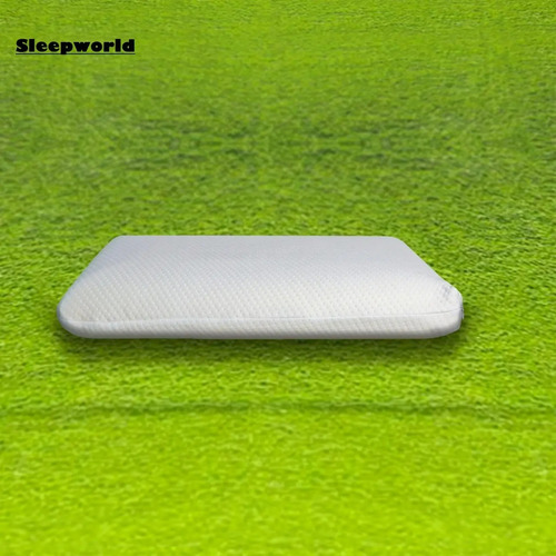 Memory Foam Standard Pillow - Color: White