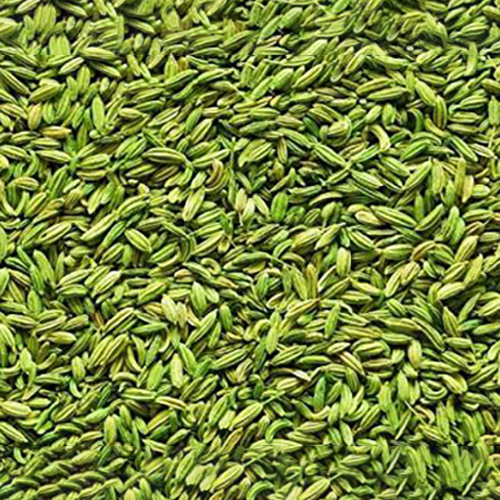 Fennel Seeds - Raw Green Granules | First-Class Quality, Aromatic Flavor, Ideal for Cooking and Medicinal Uses