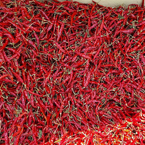 Dry Red Chilli - First Class Quality, Raw Processing, Red Color, Versatile Spice for Savory Dishes, Room Temperature Storage, Available in Custom Weights