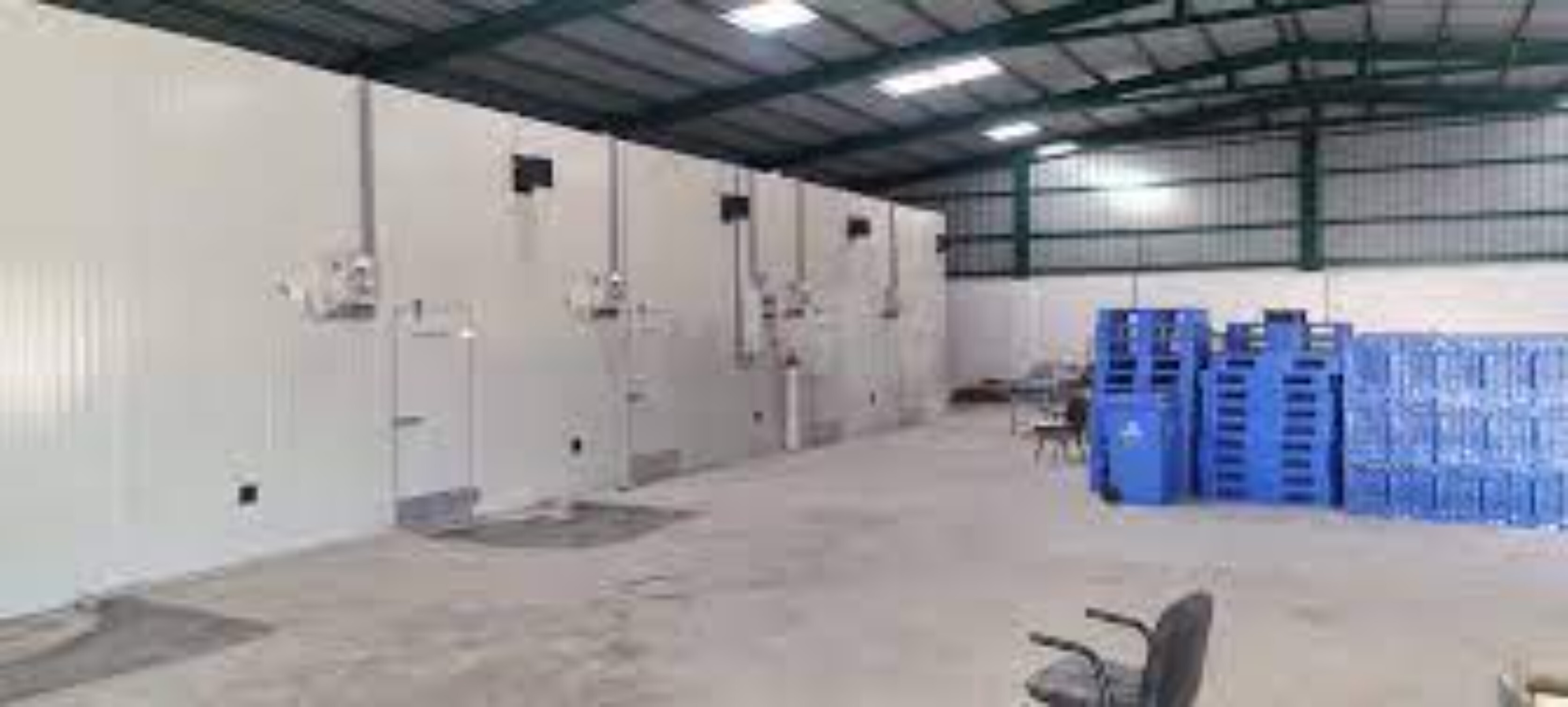 Banana Ripening Chamber - Large Ethylene Gas System | Airtight Design, Multi-purpose Monitoring System R-22,404a, Low Maintenance