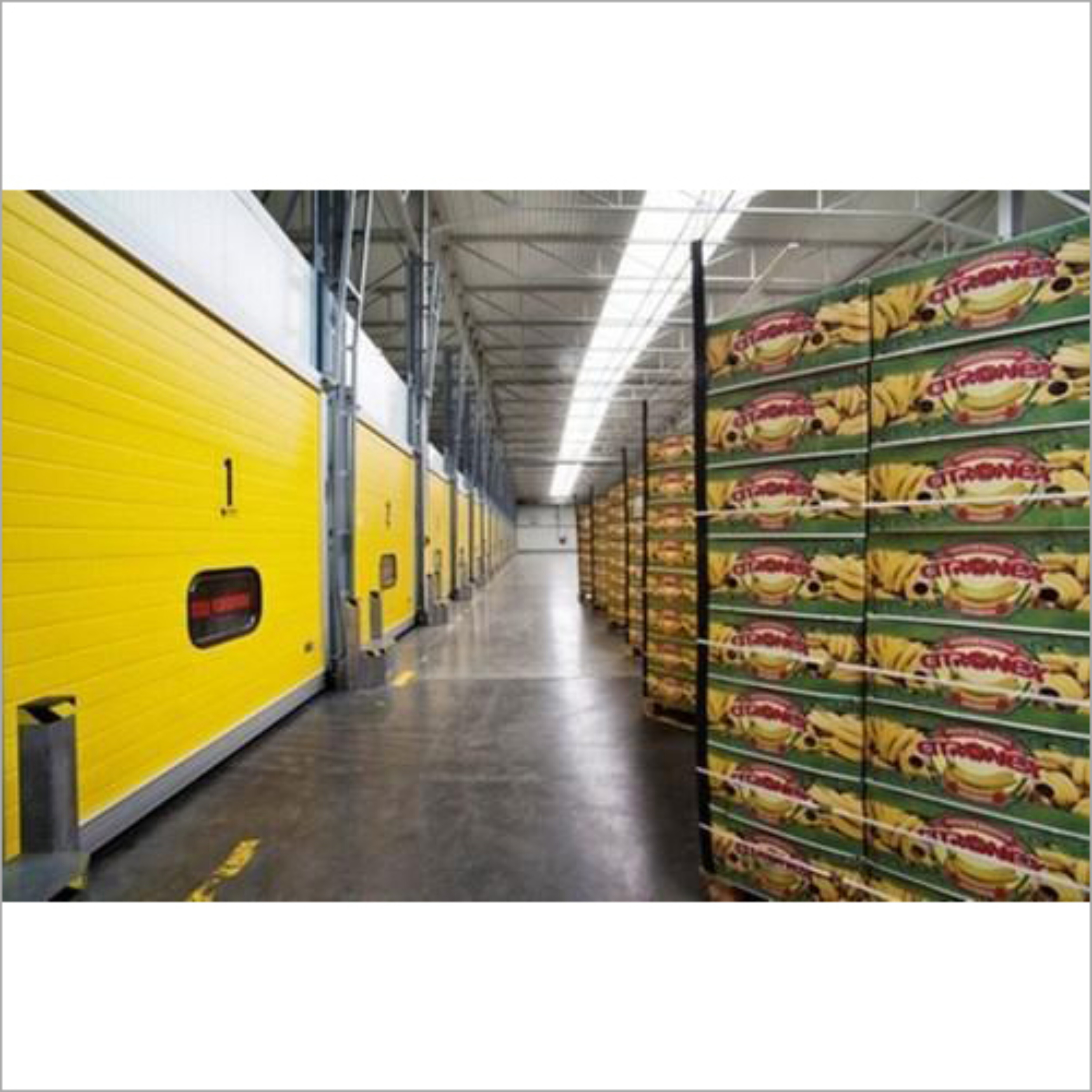 Banana Ripening Chamber - Large Ethylene Gas System | Airtight Design, Multi-purpose Monitoring System R-22,404a, Low Maintenance