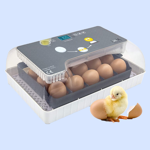 Gray 12 Eggs Fully Automatic Incubator