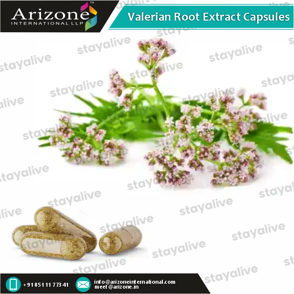 Valerian Root Extract Capsules Age Group: For Adults