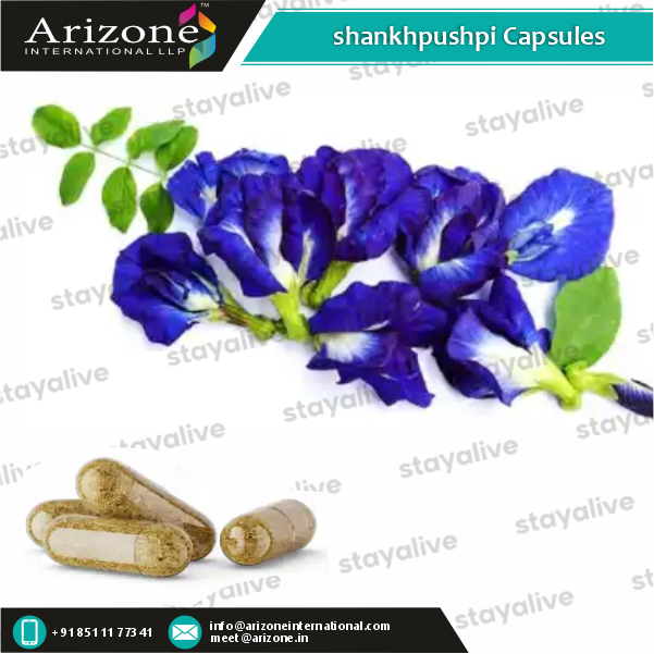 Shankhpushpi Capsules Age Group: For Adults