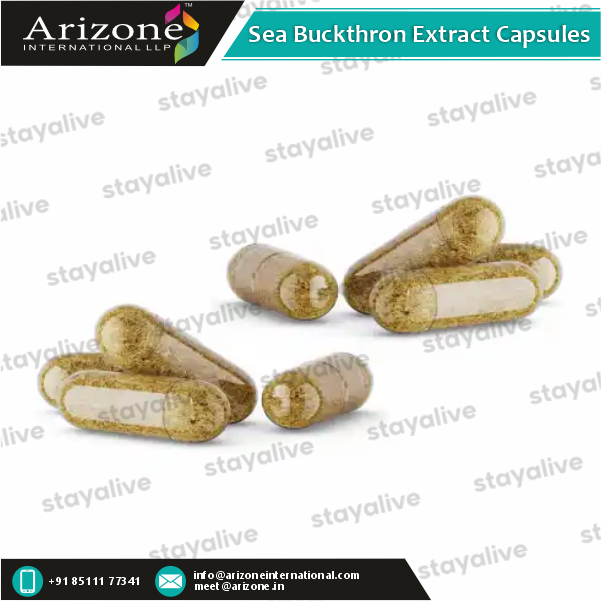 Sea Buckthorn Extract Capsules - Vegan, Antioxidant-rich Formula For Adults | Skin Health Support, Vitamins C & E, Custom Oem Services