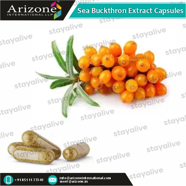 Sea Buckthorn Extract Capsules - Vegan, Antioxidant-rich Formula For Adults | Skin Health Support, Vitamins C & E, Custom Oem Services