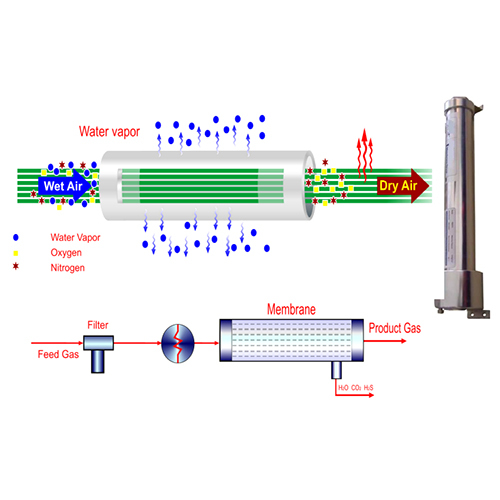 Membrane Dryer - High-Performance Polymer Design | Efficient Moisture Removal Technology, Compact Size