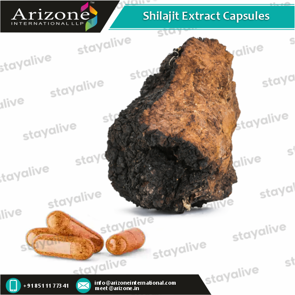 Shilajit Extract Capsules Age Group: For Adults