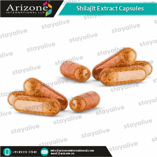 Shilajit Extract Capsules Age Group: For Adults