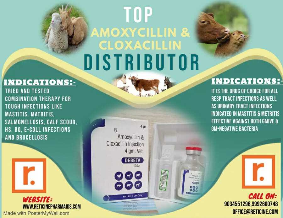 Injection Manufacturer - Comprehensive Range Of Veterinary Injections Including Antimicrobials, Analgesics, Vitamins, And Hormones | Injections, Veterinary, Quality Formulations