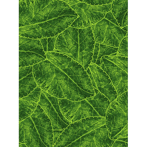 Different Available Printed Polyester Film