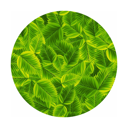 Different Available Printed Polyester Film