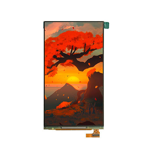 5.5 Inch Oled Module Application: Electronic Device