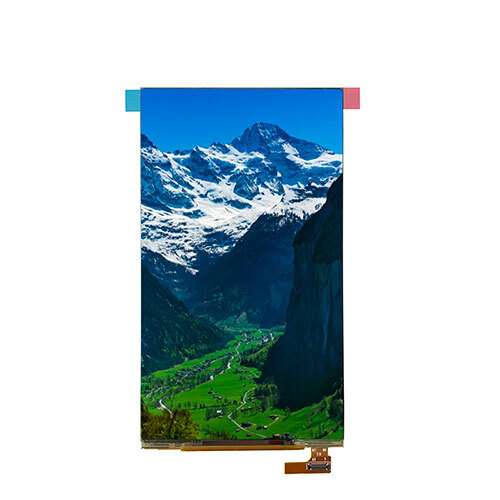 5.5 Inch Oled Module Application: Electronic Device