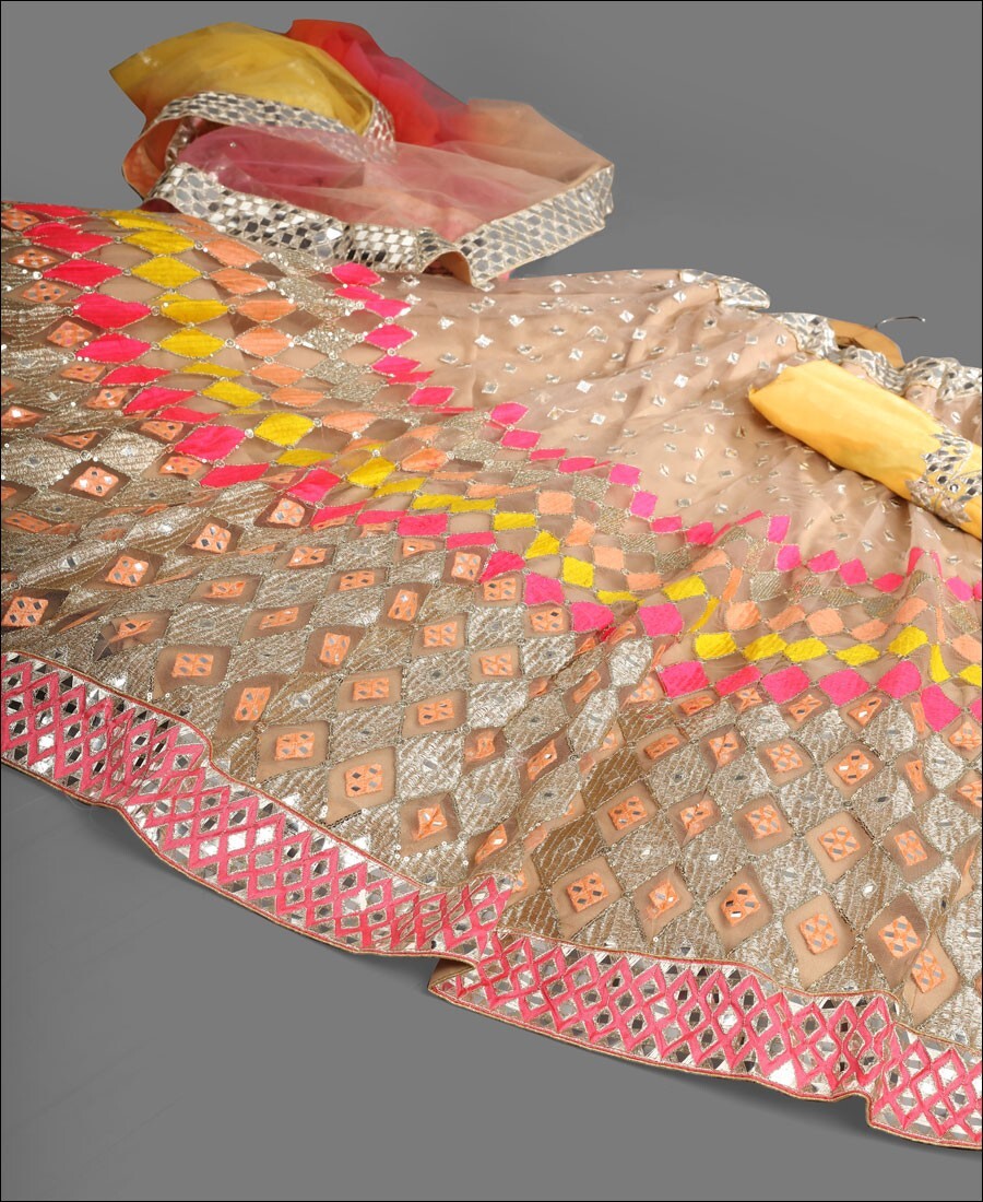 Multi Colored Butterfly Net Mirror Work Lehenga Choli