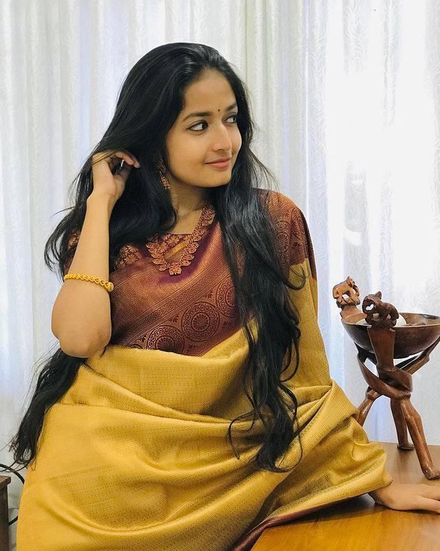 Jacquard Work Saree - Color: 1