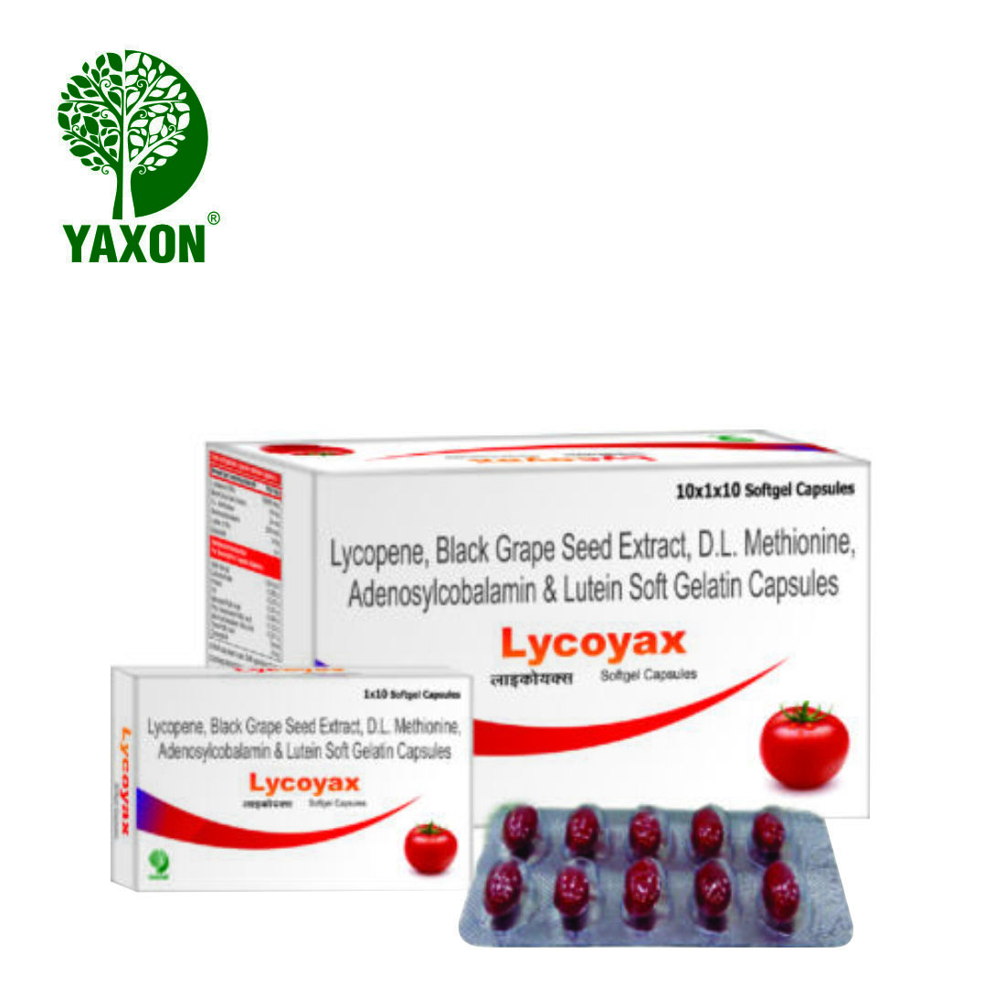 Lycopene Softgel - Nutraceutical Blend With Black Grape Seed Extract, Dl Methionine & Lutine Adenosylcobalamin | Powerful Antioxidants, Supports Fertility & Nutritional Deficiencies, 500 Boxes