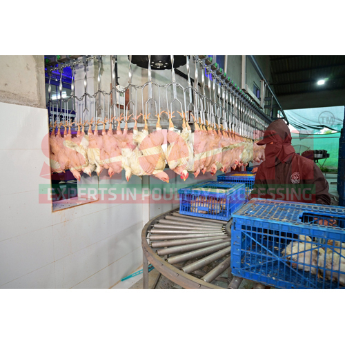 Hanging On The Line And Rester