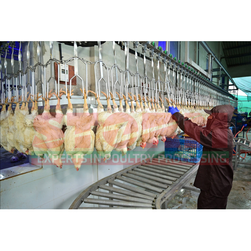Hanging On The Line And Rester