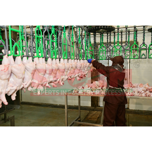 Automatic Bird Re-hanging Machine