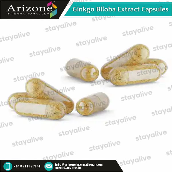 Ginkgo Biloba Extract Capsules Age Group: For Adults